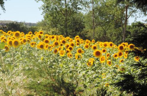 Laurabuc House | La Périole
