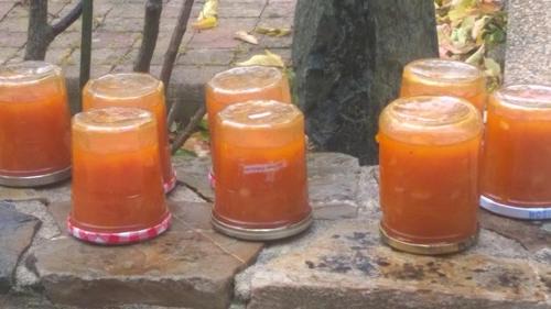 La Bouexiere House | La P'tit' Fugue