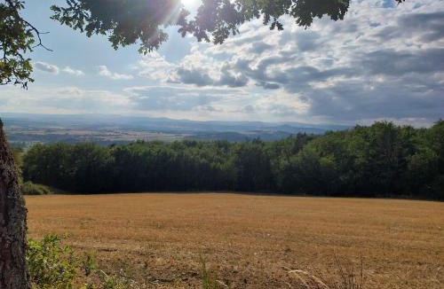 Auzon Apartment | La P'tite Créole