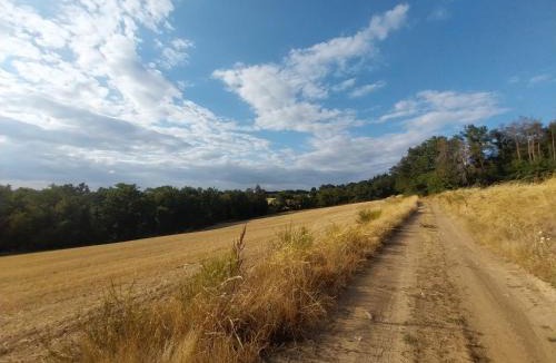 Auzon Apartment | La P'tite Créole