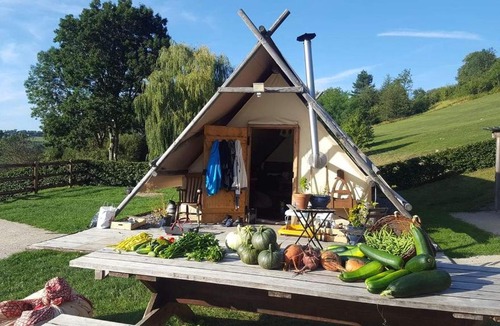 Survie Other | La P'tite ferme de la Vie