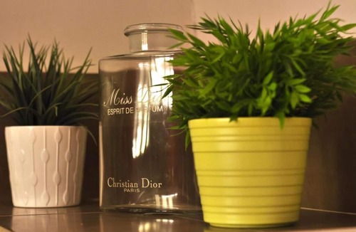 Mus House | La Paillère