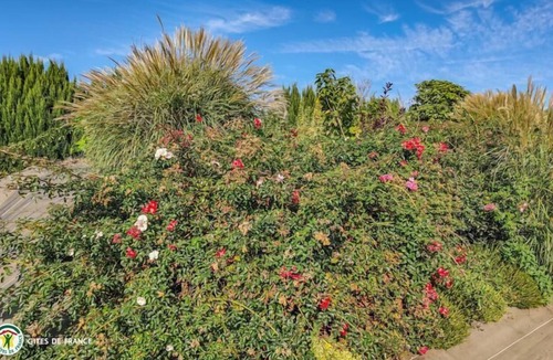 Les Essarts-le-Vicomte House | La Paimbaudière - LES Essarts LE Vicomte