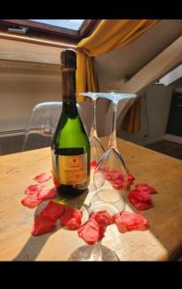 Honfleur Apartment | La panthère rose