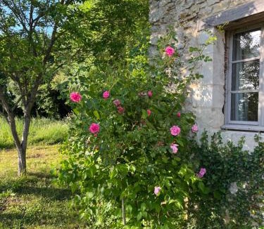Chemire-le-Gaudin House | La Papinière