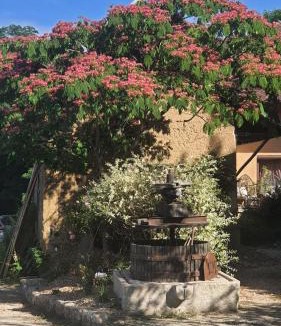 Saint-Genix-sur-Guiers Bed & Breakfast | La Parenthèse