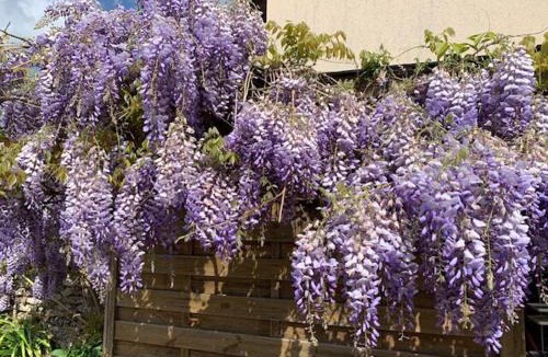 Limetz-Villez House | La Parenthèse Impressionniste