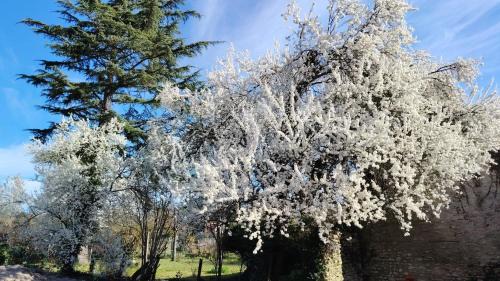 Crouy-sur-Cosson House | La Part'Thé