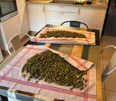 Luc-sur-Orbieu Bed & Breakfast | La Pause Bonheur La Campagnarde