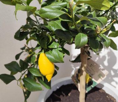 Queven Apartment | La pause bretonne