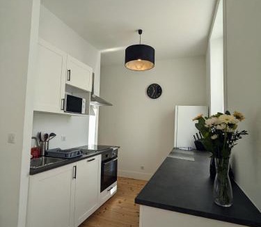 Roanne Apartment | La pause roannaise