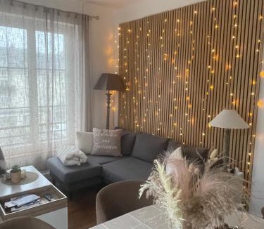 Saumur Apartment | La pause Saumuroise