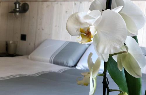 Le Pouliguen Apartment | La perle Atlantique, appartement 3-4 personnes dans une résidence de standing