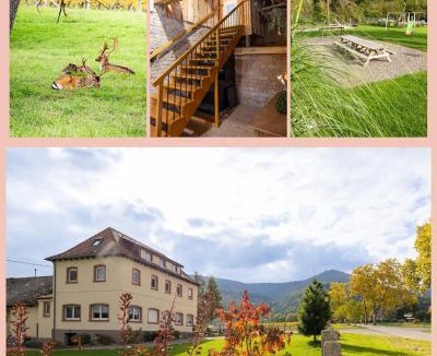 Bernardswiller Bed & Breakfast | La Perle d'Alsace