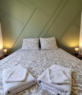 Belfort Apartment | La perle du Lion
