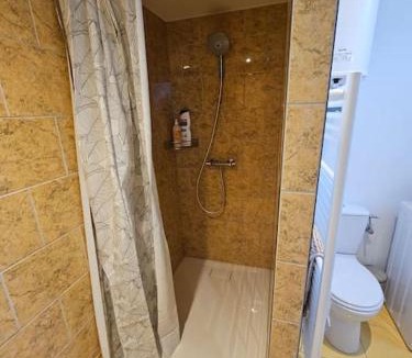 Villeneuve-sur-Yonne Apartment | La petite bulle