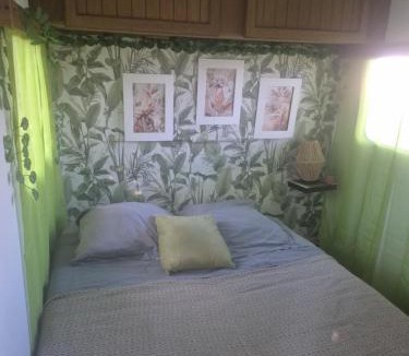 Maxent Other | La petite caravane de Vallye