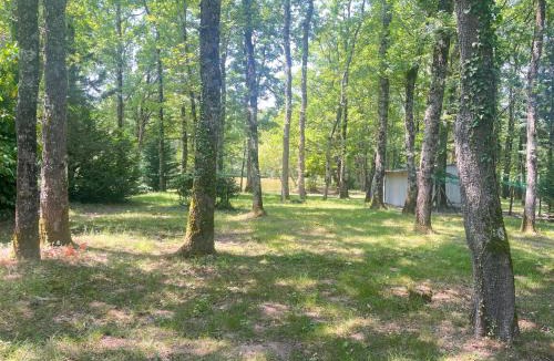 Mosnay Bed & Breakfast | La petite chambre