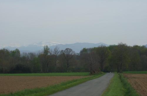 Franquevielle House | La petite danseuse
