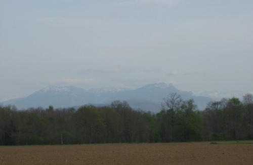 Franquevielle House | La petite danseuse