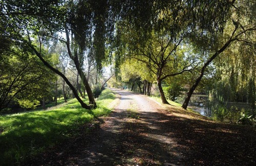 Saint-Bonnet-sur-Gironde House | La Petite MARVINIERE