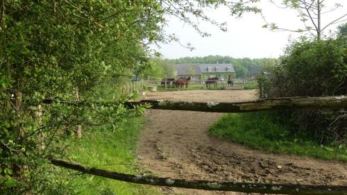 Menil Bed & Breakfast | La Petite Lande