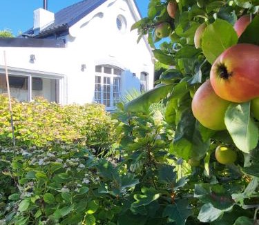Rosendael House | La petite maison blanche