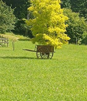 Ecommoy Bed & Breakfast | La Petite Maison Dans La Prairie