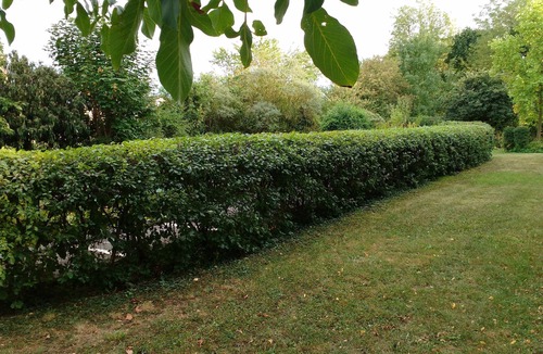 Wolfgantzen Apartment | La petite maison