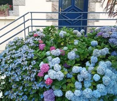 Tramain House | LA PETITE MEUNIERE