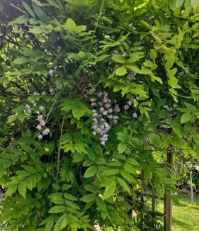 Appeville-Annebault House | La petite normande