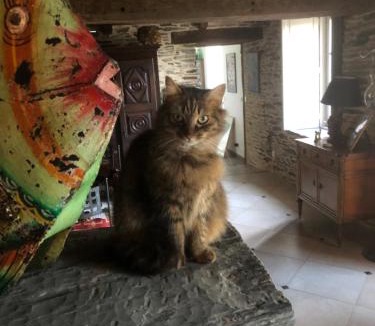 Carentoir Bed & Breakfast | La petite seigneurie de Lourmel