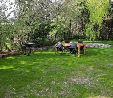 Vineuil Apartment | La petite Vineuilloise 10min de Châteauroux 40min zoo de Beauval
