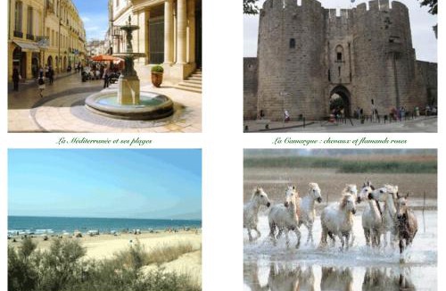 Ales House | LA PICHIOLINE