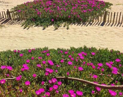 Leucate Villa | La Plage maison de plage à Port Leucate