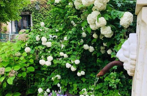 Chailly-en-Biere Bed & Breakfast | La plaine de l'Angelus