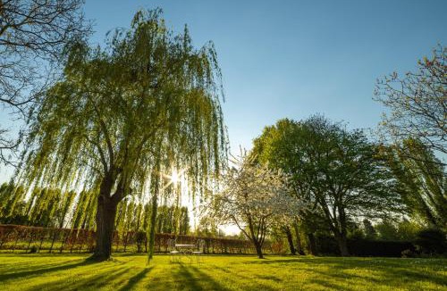 Teloche Bed & Breakfast | La planche pinçon