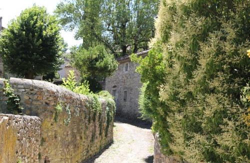 Barjac House | La Planque des Frères