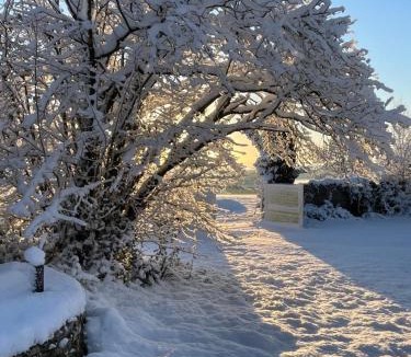 Sainte-Hermine Bed & Breakfast | La Poitevinière