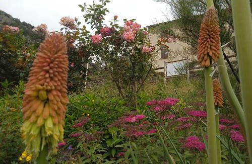 Casteil Apartment | La Pommeraie