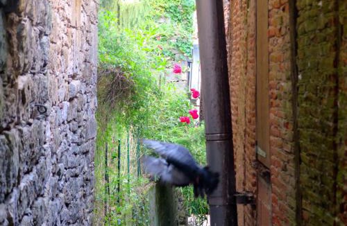 Saint-Antonin Noble Val Bed & Breakfast | La Porte Bleue