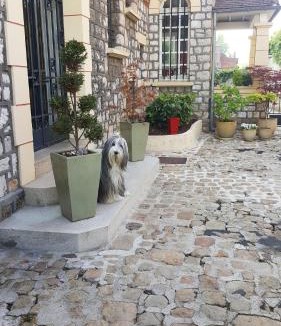 Peronne Bed & Breakfast | La Porte De Bretagne