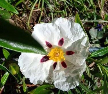 Saulgond House | La Poste Saulgond