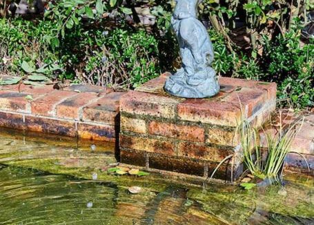 Pierric House | La première pierre