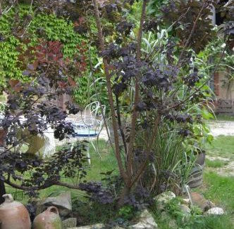 Le Noyer Bed & Breakfast | LA PROVIDENCE