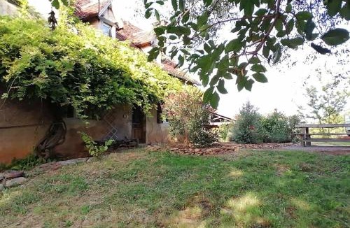 Reyrevignes House | La quercynoise