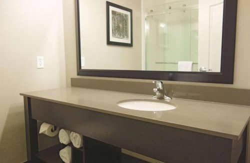 Monahans Hotel | La Quinta by Wyndham Monahans
