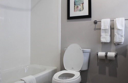 Schertz Hotel | La Quinta Inn and Suites by Wyndham Schertz-San Antonio-Selma