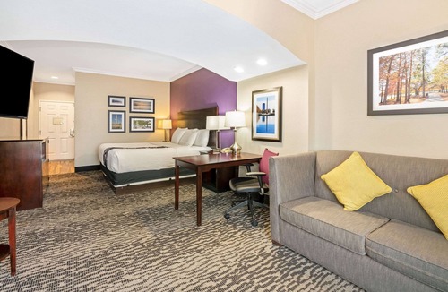 Egypt Hotel | La Quinta Inn & Suites by Wyndham Houston - Magnolia