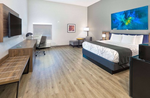 White Rock Hills Hotel | La Quinta Inn & Suites by Wyndham Dallas/Fairpark